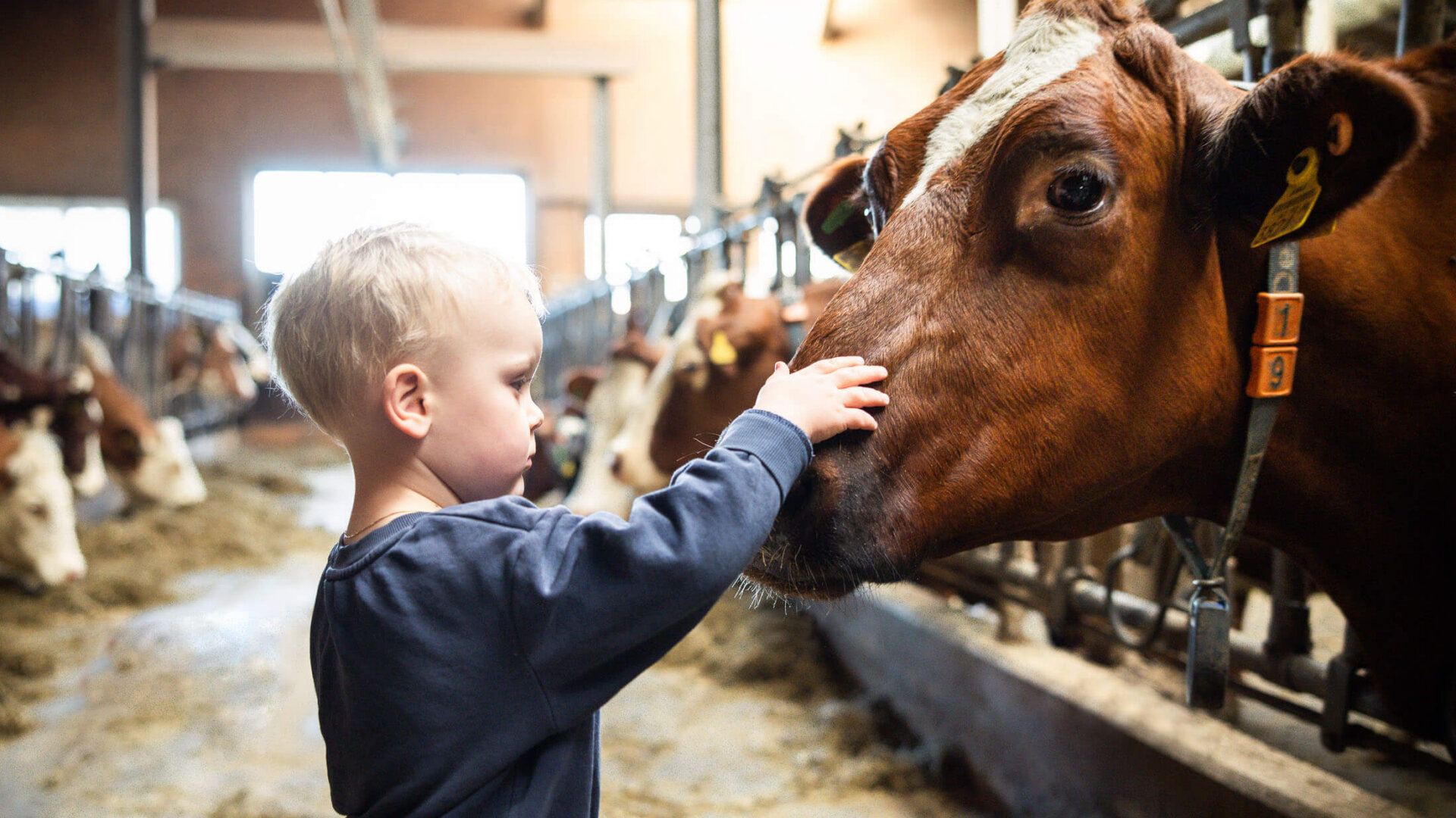 Kinder am Schiefergut Flachau