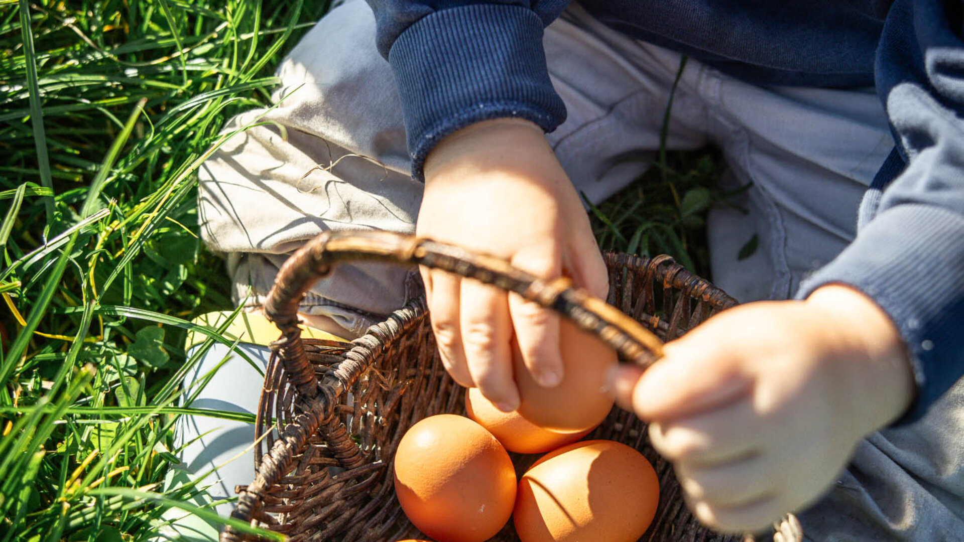 Kind beim Eier sammeln