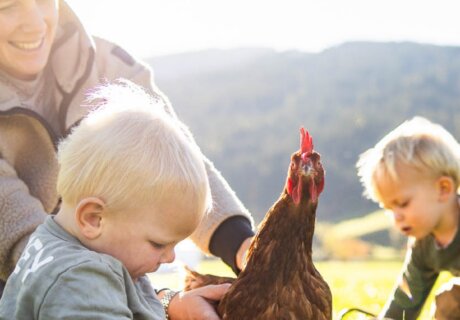 Kinder mit Huhn auf der Wiese