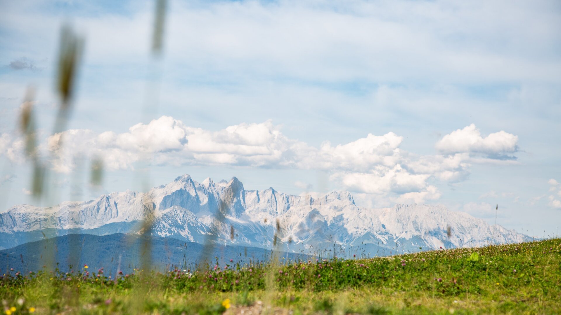 Flachau Wanderberg Grießenkar - einfach wunderbar wanderbar. Wanderrouten in allen Schwierigenkeitsgraden von der Familientour bis zur anspruchsvollen Panoramatour. Am Bild sieht man den Ausblick aufs Dachsteinmassiv. Diesen erlebt man bei einer Wanderung am Grießenkar.