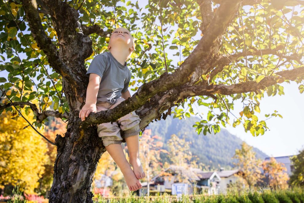 Ein Junge auf einem Baum