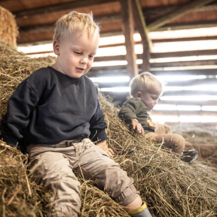 Kinder im Stall auf dem Heu