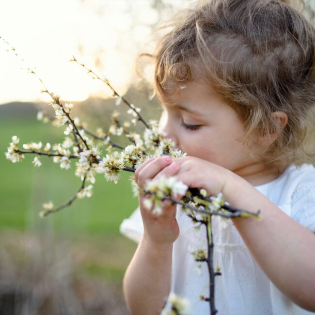 Mädchen riecht an einem Strauch