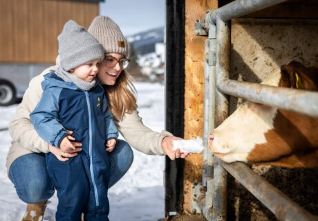 Kind mit Mama streicheln eine Kuh
