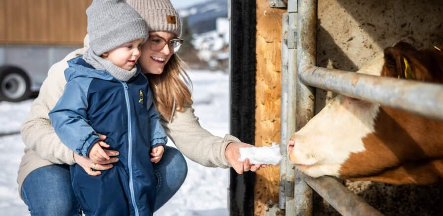 Kind mit Mama streicheln eine Kuh